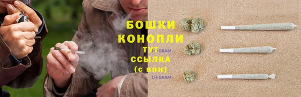 PSILOCYBIN Бугульма