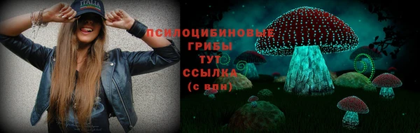 таблы Бородино