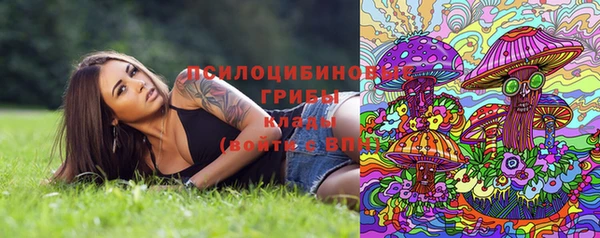 таблы Бородино