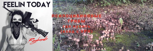 PSILOCYBIN Бугульма