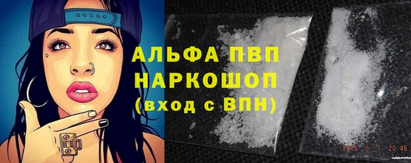 ПСИЛОЦИБИНОВЫЕ ГРИБЫ Верхний Тагил