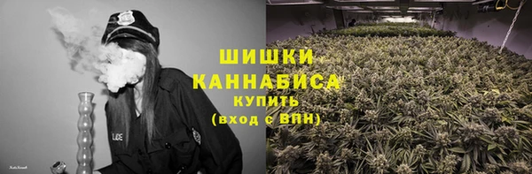 таблы Бородино