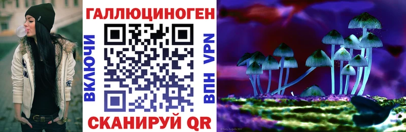 Галлюциногенные грибы Cubensis  наркошоп  Клинцы 
